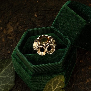 May include: A silver ring featuring a central amber-colored gemstone surrounded by a series of small, fan-shaped metallic petals. The ring is displayed inside a hexagonal, dark green velvet box with a matching green lid.