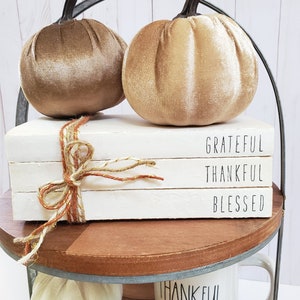 Grateful Thankful Blessed Stamped Book Set Fall Paper Book Set Thanksgiving Farmhouse Stamped Books Fall Tiered Tray Decor image 7