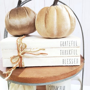 Grateful Thankful Blessed Stamped Book Set Fall Paper Book Set Thanksgiving Farmhouse Stamped Books Fall Tiered Tray Decor image 8