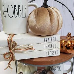 Grateful Thankful Blessed Stamped Book Set Fall Paper Book Set Thanksgiving Farmhouse Stamped Books Fall Tiered Tray Decor image 6