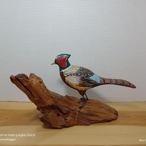 Può includere: Un uccello di legno intagliato a mano, dipinto in rosso, verde e blu, appollaiato su un pezzo di legno trasportato. L'uccello presenta dettagliati motivi di piume e poggia su sottili zampe di metallo. Il legno trasportato è di colore marrone naturale. Immagine scattata con un moto g stylus (2023).