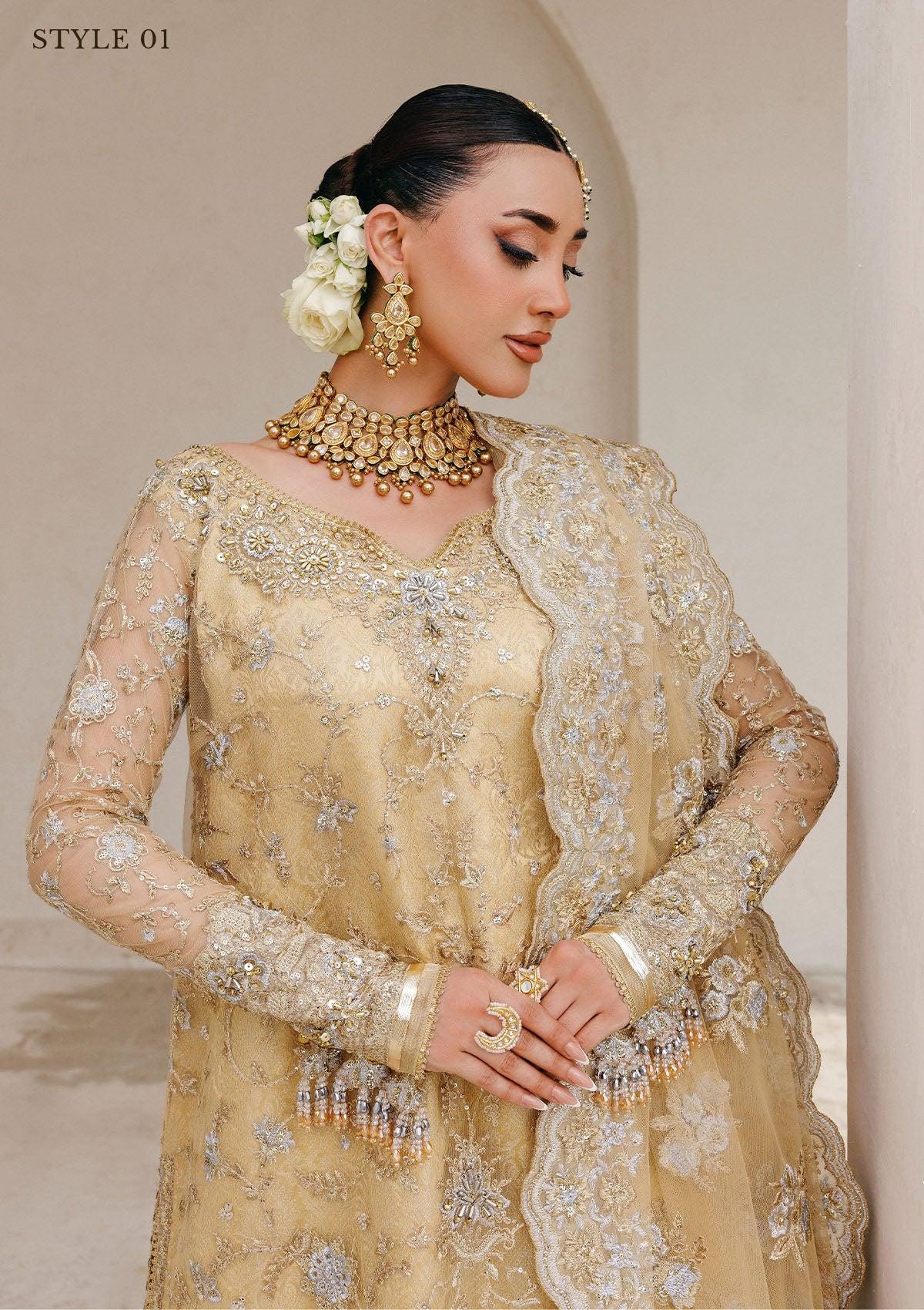 Simple Chiffon Pakistani Dress