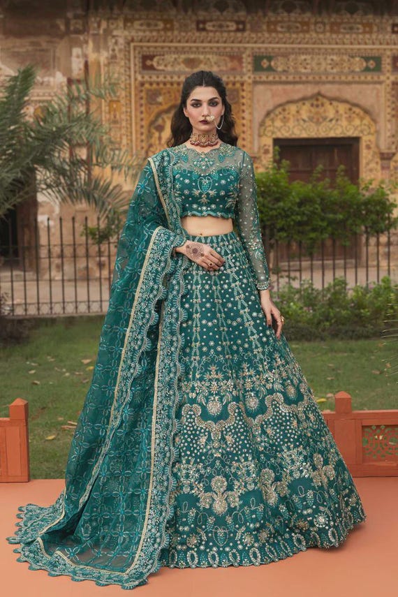 raw silk formal dresses Handmade Organza Pakistani Dress, Green Embroidered Lehenga Choli elegant formal dresses