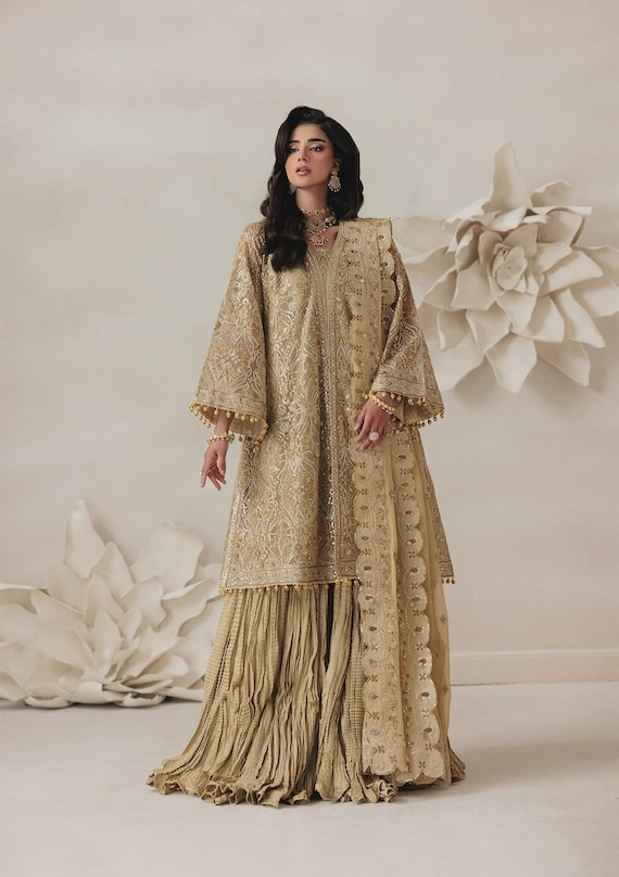 light brown pakistani dress Embroidered Chiffon Lehenga Choli, Bridal Dress, Wedding Outfit 'Women''s Caitlin Mini Dress Suit Jacket Size/Waist Size:50/44 wair-enabled Pakistani bridal dresses