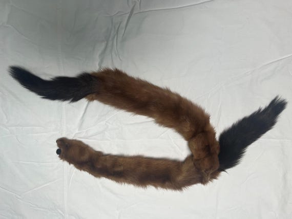 Genuine Farmed Mink Collar – 1940s-1950s View 4