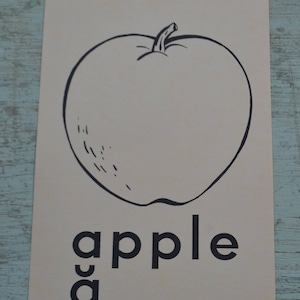 Vintage Lernbild Bildkarteikarte Groß - Apfel