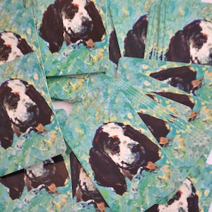 Lot de 25 cartes de jeu miniatures vintage pour chien