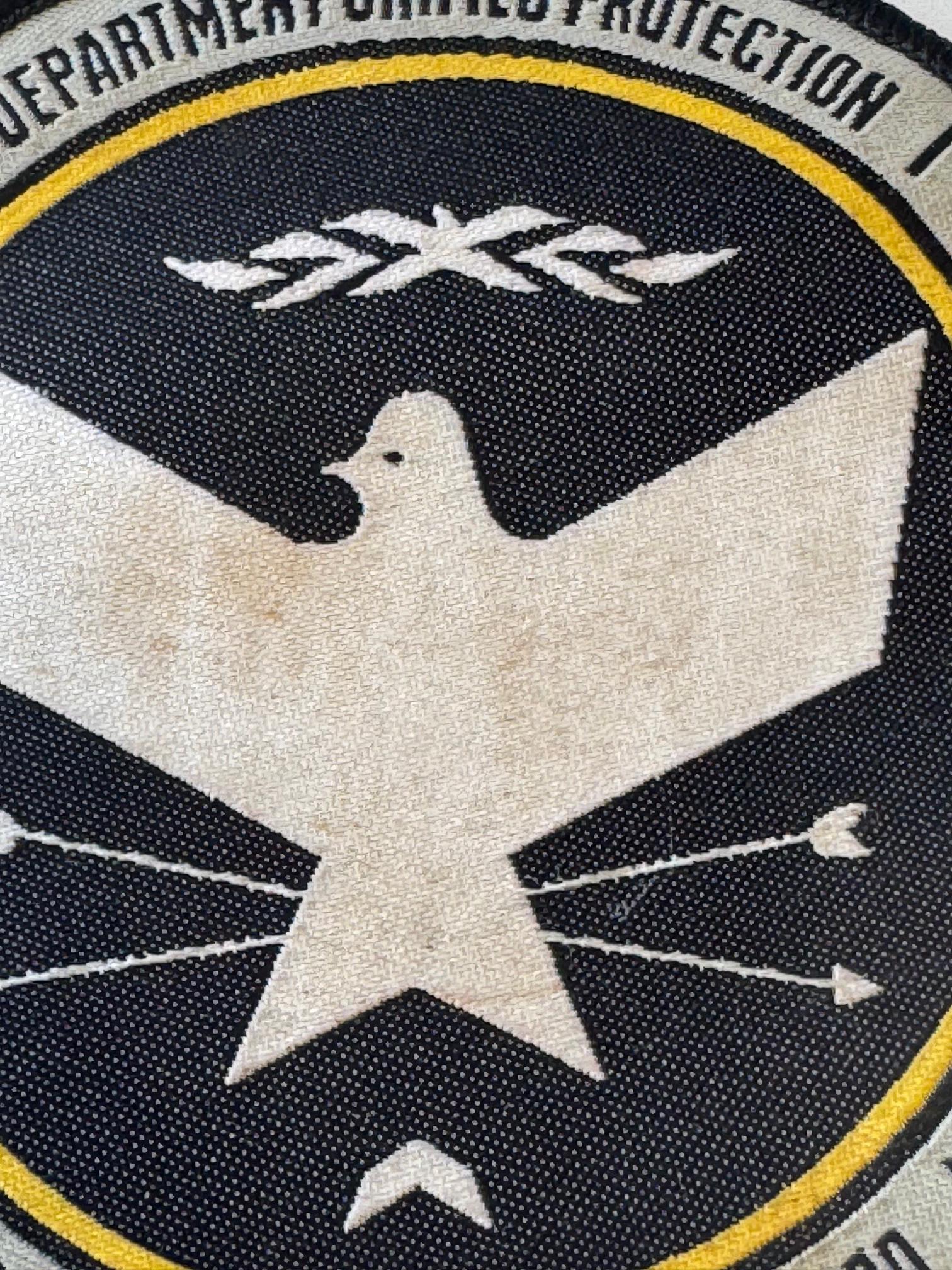 Reclaimed Vintage Department Unified Protection Badge Patch - Etsy