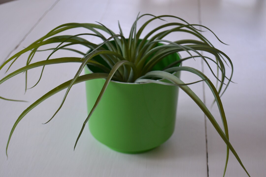 Vintage Lawnware Products Green Round Plastic Flower Vase Planter Etsy