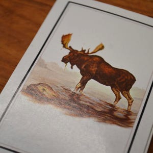 Vintage Bear Moose Lot of 25 Playing Cards Ephemera