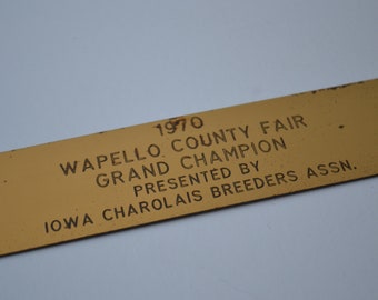Vintage Brass Grand Champion County Fair Trophy Information Tag Plate