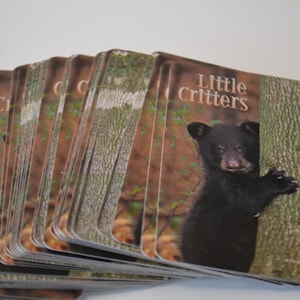Lote de 25 naipes efímeros de animales en miniatura de Little Critters