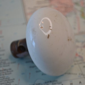 May include: White ceramic bottle stopper with a brown wooden base. The stopper has a smooth, rounded top and a small hole in the center.