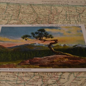 Vintage Ephemera Speicher ikonische Andenken Rocky Mountain Nationalpark Colorado Estes Park-Reise-Postkarte