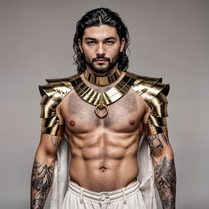 May include: A metallic gold shoulder armor piece featuring layered plates that extend over the shoulders and upper arms, connected by a wide, smooth gold choker collar with a central circular ring detail resting against the upper chest area.