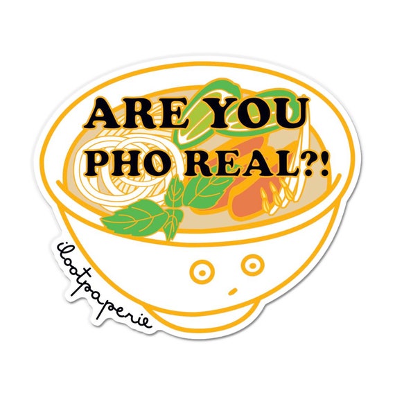 Are You Pho Real Pho Bowl Sticker Pack of 3