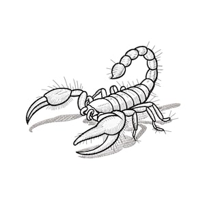 以下が含まれることがあります： 詳細なサソリの白黒イラスト。サソリは、攻撃する準備ができて、ハサミを開いた状態で描かれています。画像は白い背景に設定され、影の効果があります。