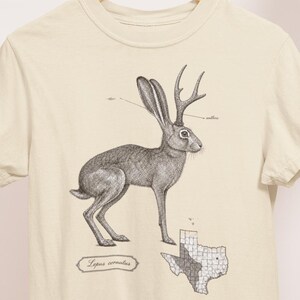 May include: A cream-colored short-sleeve t-shirt featuring a black and white ink-style illustration of a jackalope. Below the animal is the text Lepus cornutus and a map of Texas with a grid pattern. The shirt has a crew neckline and hem.