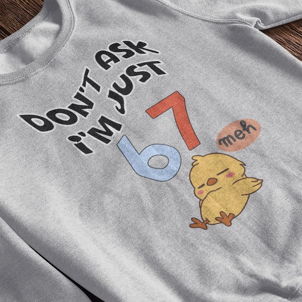 Funny Chick Meme Sweatshirt | "Don't Ask I'm Just 67 Meh" Crewneck