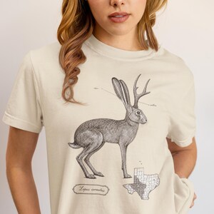 May include: A cream-colored short-sleeve t-shirt featuring a black and white ink-style illustration of a jackalope. The graphic includes the text 'Lepus cornutus' and a map of Texas with a shaded region, alongside scientific labels for the animal.