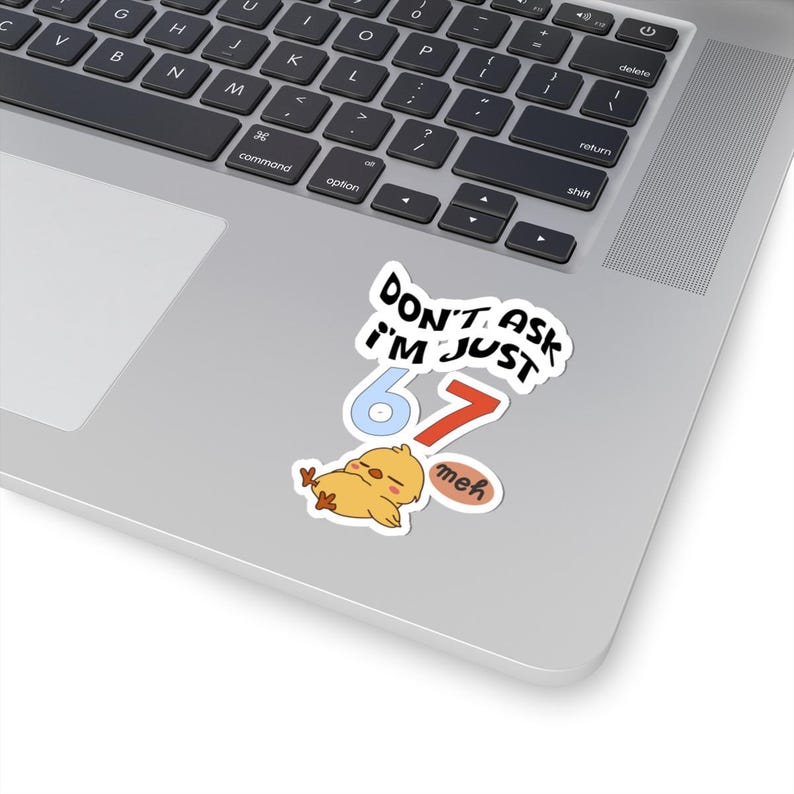 Funny 67 Meme Sticker, Don't Ask I'm Just 67 Decal, Kawaii Chick image 2