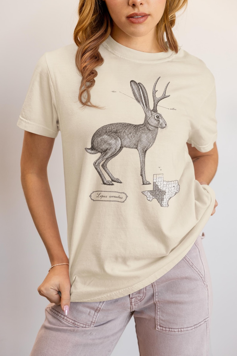 May include: A cream-colored short-sleeve t-shirt featuring a black and white ink-style illustration of a jackalope. The graphic includes the text 'Lepus cornutus' and a map of Texas with a shaded region, alongside scientific labels for the animal.