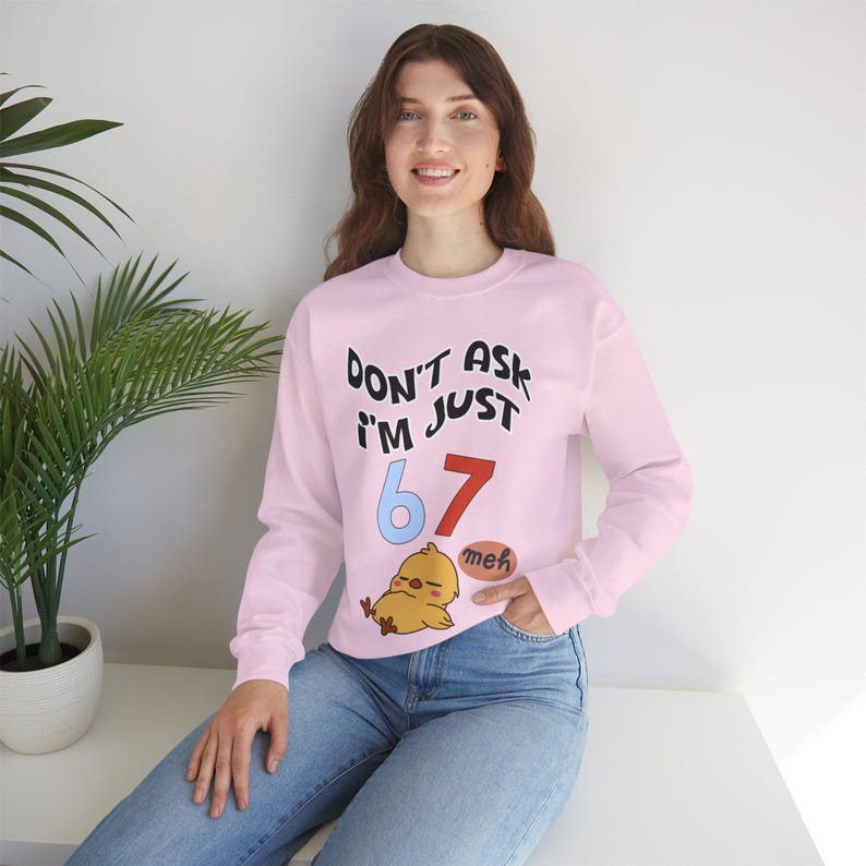 Funny Chick Meme Sweatshirt | "Don't Ask I'm Just 67 Meh" Crewneck image 10