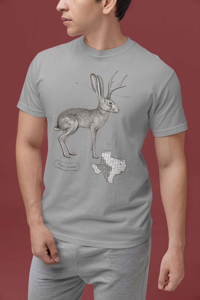 Jackalope Shirt, Vintage Cryptid Naturalist Engraving Tee image 3