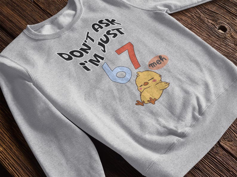 May include: A light gray sweatshirt with the text "DON'T ASK I'M JUST 67 meh" in black, red, and blue. A cartoon chick is also featured. The sweatshirt is made of a soft material.