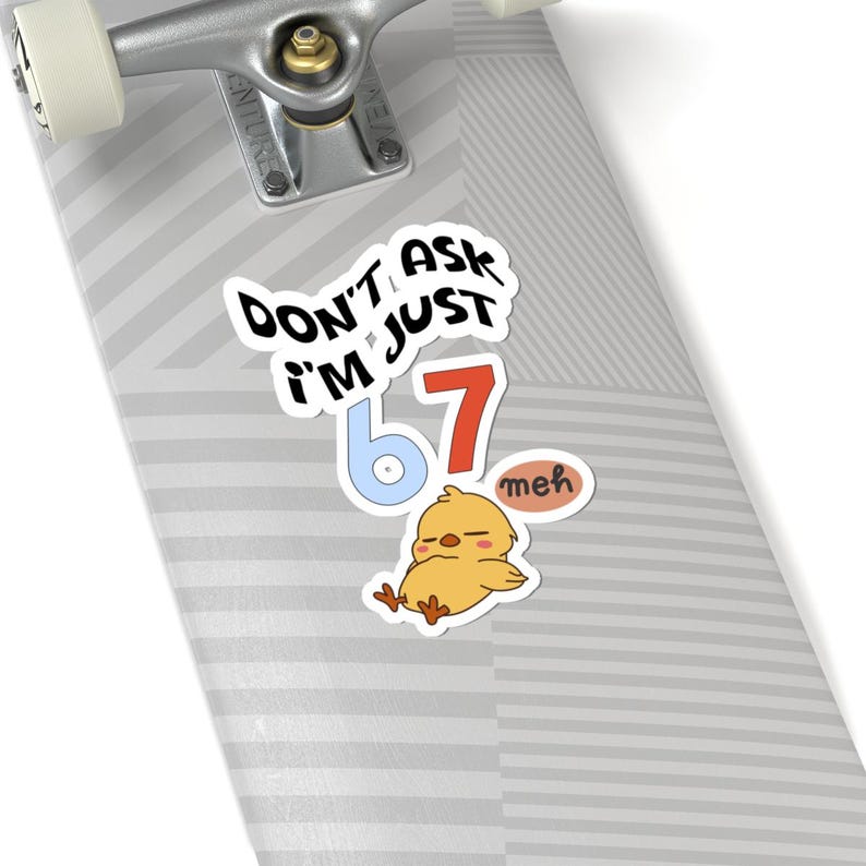 Funny 67 Meme Sticker, Don't Ask I'm Just 67 Decal, Kawaii Chick image 5