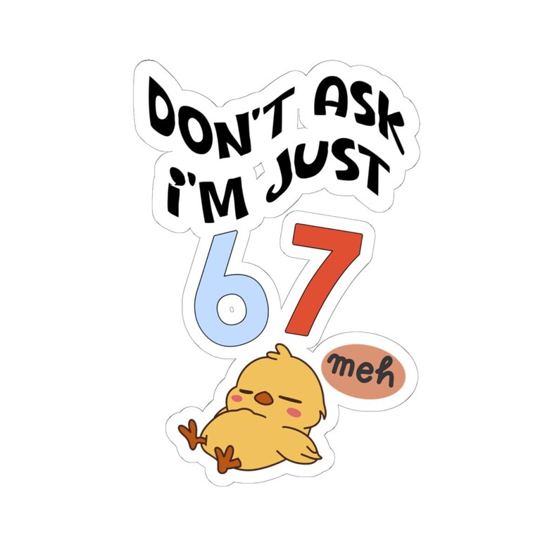 Funny 67 Meme Sticker, Don't Ask I'm Just 67 Decal, Kawaii Chick image 4