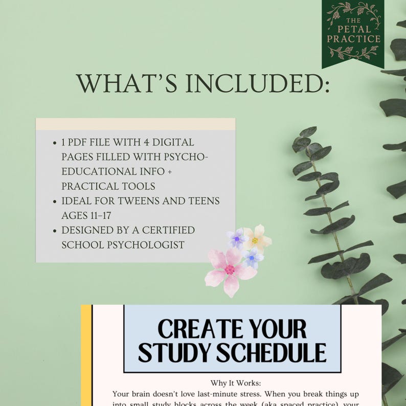 Study Skills Digital Guide for Teens | Brain-based Learning (PDF) - Etsy