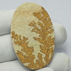 Peut inclure: Pierre ovale avec un fond beige et des motifs complexes bruns en forme de fougère. La pierre polie présente des variations naturelles de couleur et de texture. Un objet décoratif unique, environ 8 cm de long.