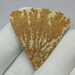 May include: A triangular, polished stone with a cream-colored base and intricate, brown, fern-like patterns. The stone is held against a white background, showcasing its natural textures and unique design. This decorative stone is ideal for collectors.