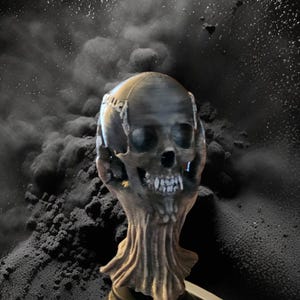 May include: A dark gray skull sculpture with a detailed design, mounted on a brown, textured base. The skull has visible teeth and eye sockets. The background is a dark, smoky texture.