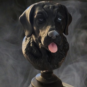 May include: A black dog head sculpture with a pink tongue sticking out. The dog has blue eyes and is mounted on a black base. The sculpture is detailed and appears to be a decorative item.
