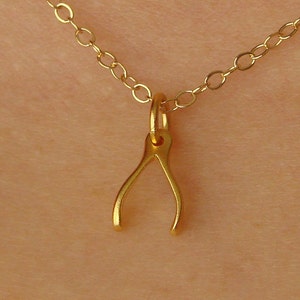 Tiny Gold Wishbone Necklace, Wishbone Necklace on Gold Filled Chain, Lucky Wishbone Charm, Dainty Gold Wishbone image 1