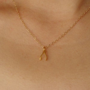 Tiny Gold Wishbone Necklace, Wishbone Necklace on Gold Filled Chain, Lucky Wishbone Charm, Dainty Gold Wishbone image 2