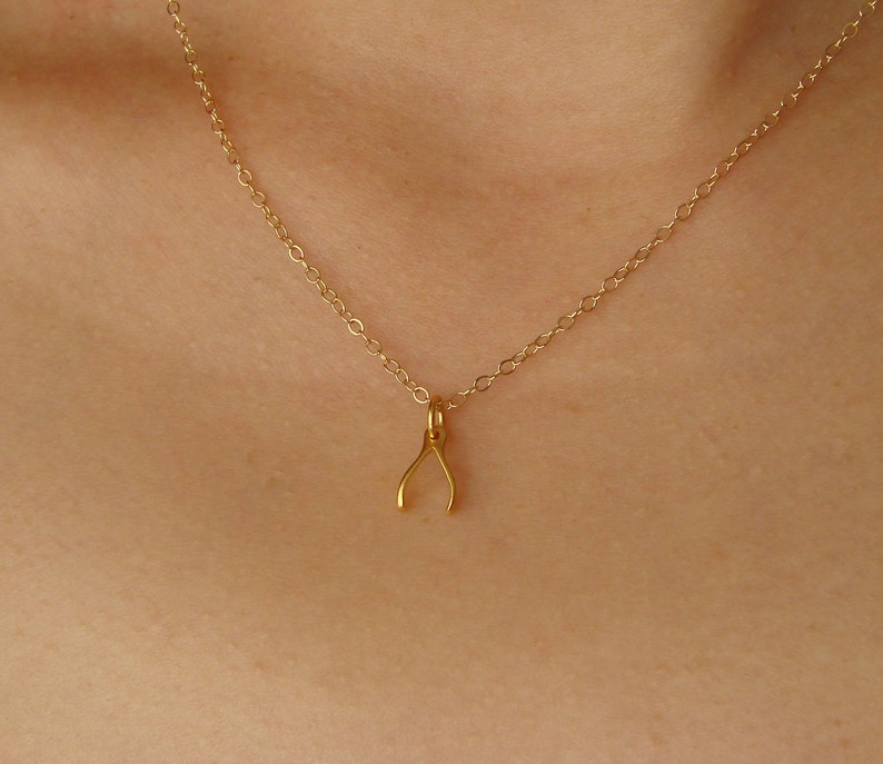 Tiny Gold Wishbone Necklace, Wishbone Necklace on Gold Filled Chain, Lucky Wishbone Charm, Dainty Gold Wishbone image 2