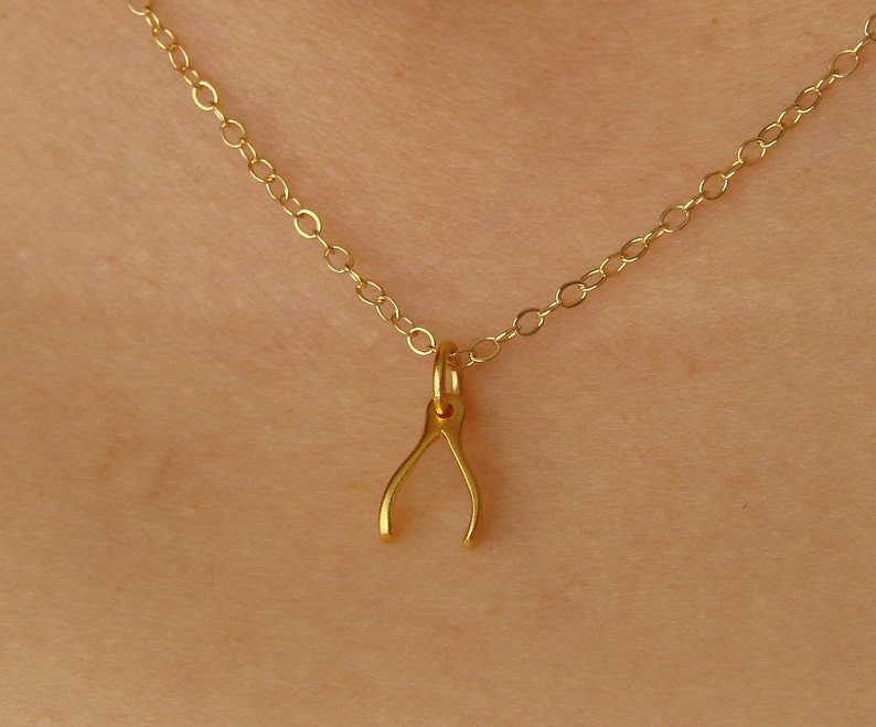 Tiny Gold Wishbone Necklace, Wishbone Necklace on Gold Filled Chain, Lucky Wishbone Charm, Dainty Gold Wishbone image 1