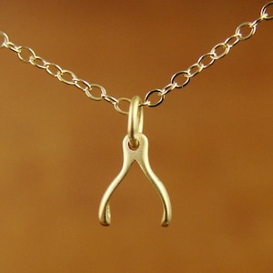 Tiny Gold Wishbone Necklace, Wishbone Necklace on Gold Filled Chain, Lucky Wishbone Charm, Dainty Gold Wishbone image 3
