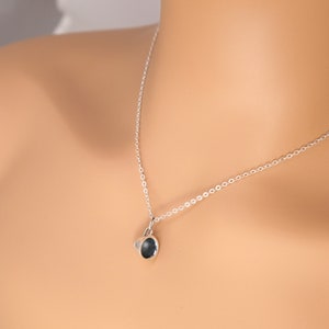 May include: A silver chain necklace with a small black oval pendant.