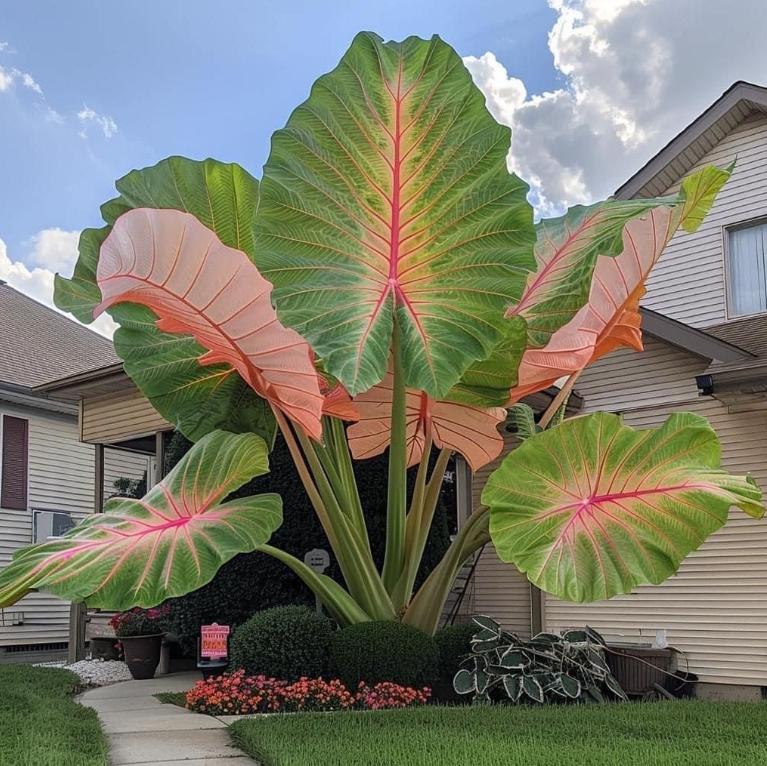 fake indoor plants that look real Artificial Tall Potted Fern Plant | Fake Floor Plants