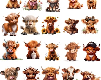 Baby Highland Cow Clipart: Rustic Farm Animal PNG Illustrations (Digital Download)