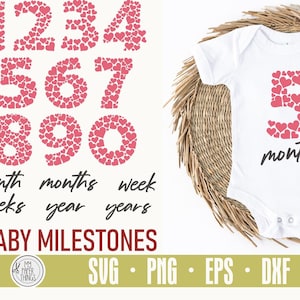 Maandelijkse baby mijlpalen bundel svg | Cijfers-svg | Svg eerste verjaardag |  Pasgeboren svg