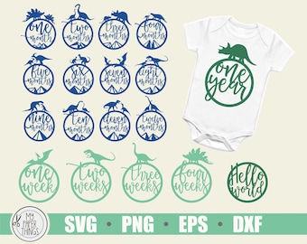 Monthly Baby Dinosaur Milestones Bundle svg, Baby Milestone svg, Baby Month Milestone svg, First birthday, Newborn svg, dxf, png, eps