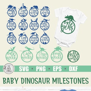 Monatliche Baby Dinosaurier Meilensteine Bundle svg, Baby Meilenstein svg, Baby Monat Meilenstein svg, Erster Geburtstag, Neugeborene svg, dxf, png, eps