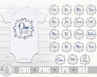 Maandelijkse baby mijlpalen bundel svg, baby mijlpaal svg, baby maand mijlpaal svg, eerste verjaardag, Hello World, pasgeboren svg, dxf, png, eps