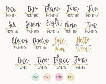 Hello World Monthly Baby Milestones Bundle svg, Baby Milestone SVG, Baby Month Milestone svg, First birthday svg, Newborn svg, cutting file