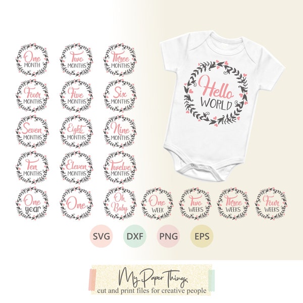 Monthly Baby Milestones Bundle svg, Baby Milestone svg, Baby Month Milestone svg, First birthday, Hello World, Newborn svg, dxf, png, eps